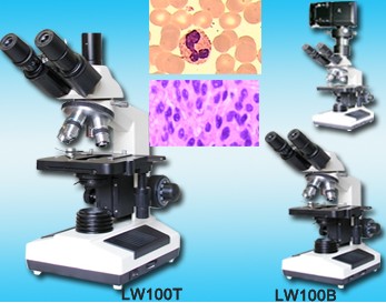 LW100B/T΢