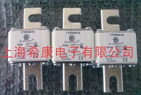 Bussmann۶170M3013