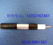 -SֱNSYV-50-1571.54оϩ^l|
