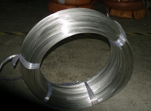 0.8mmֱ˿У