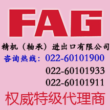 FAG NJ318E.TVP2.C3 Բ