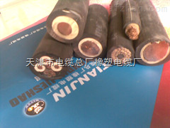 ZR-HYAT53 300*2*0.5ͨ|HYAT53 300*2*0.5