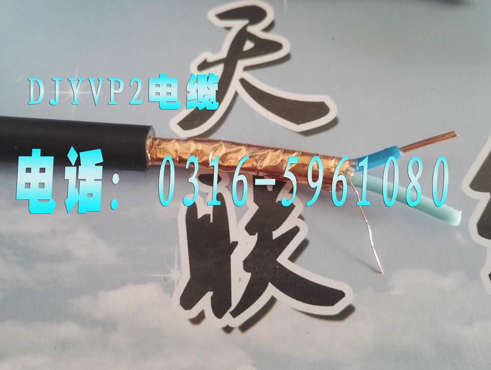 DJYPVP22Ӌ(j)C(j)|2*2*075