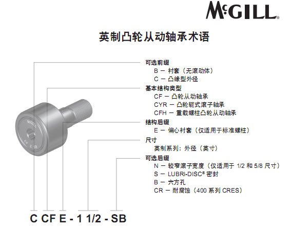 漣BCCFE15/8SڴMCGILL