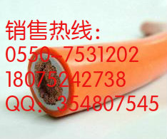 ţ RVV 1*16mm2  ɫţ  C(j)BӾ