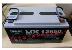 MS12650/ϵ12V65AH/