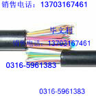 t^SGpɫ늾440CM