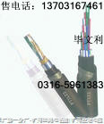 t^SGpɫ늾440CM