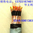 ຣSGpɫ늾4ƽ40CM