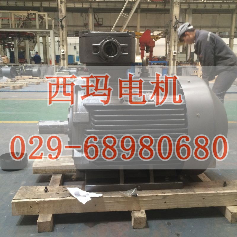 YGP250M1-8 18.5KW/IC410ȴʽƵҡ̩