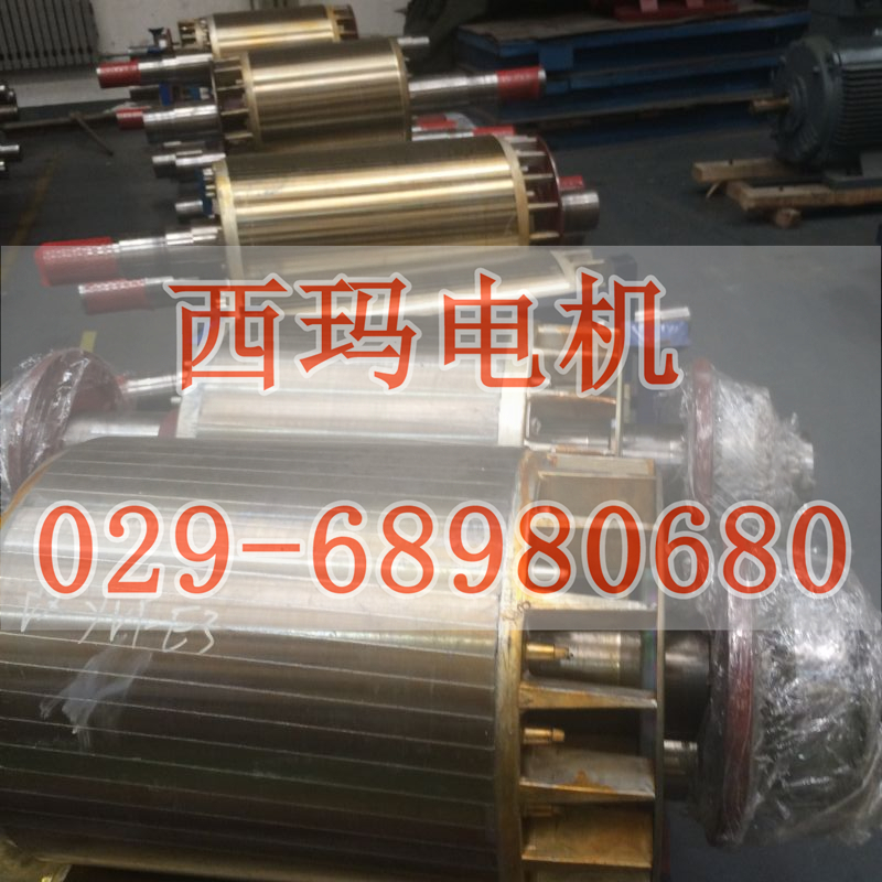 YGP280L2-6 45KW/IC410ȴʽƵ첽綯ҡ̩