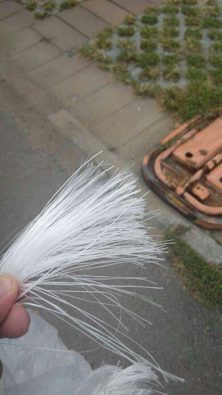ӭ~˾ά