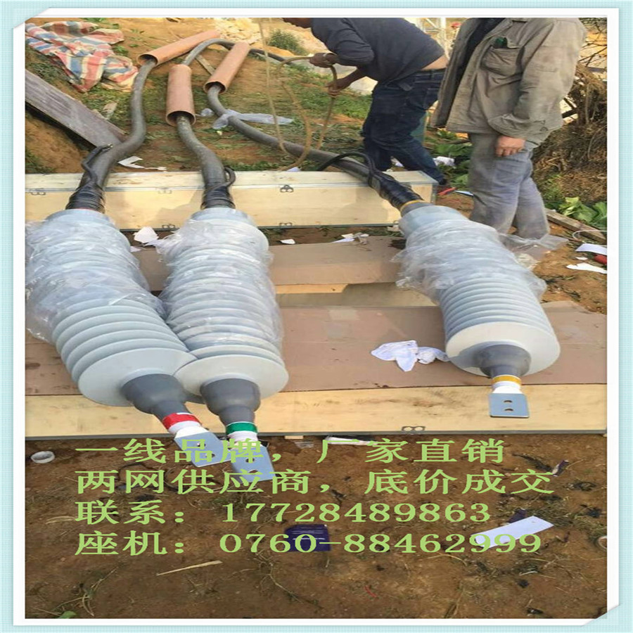 X-߉110ǧs|^̖(ho)