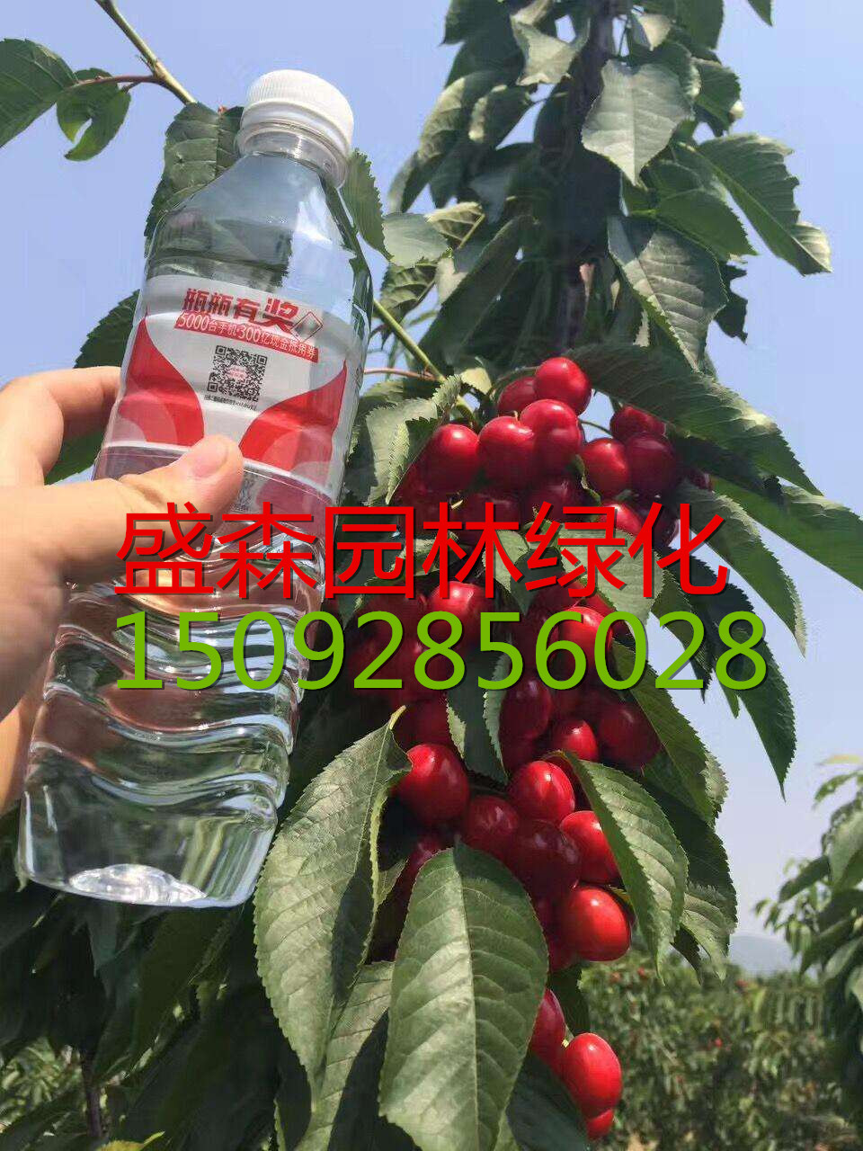 ِ6̖Ǥ