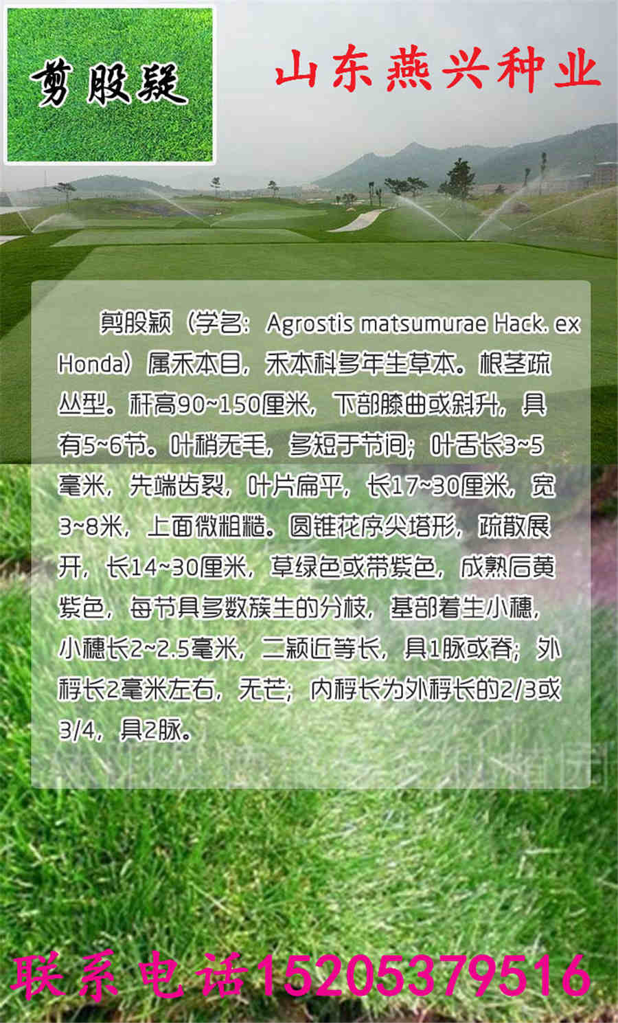 ĴʡļƺӲ޼ͼ̤