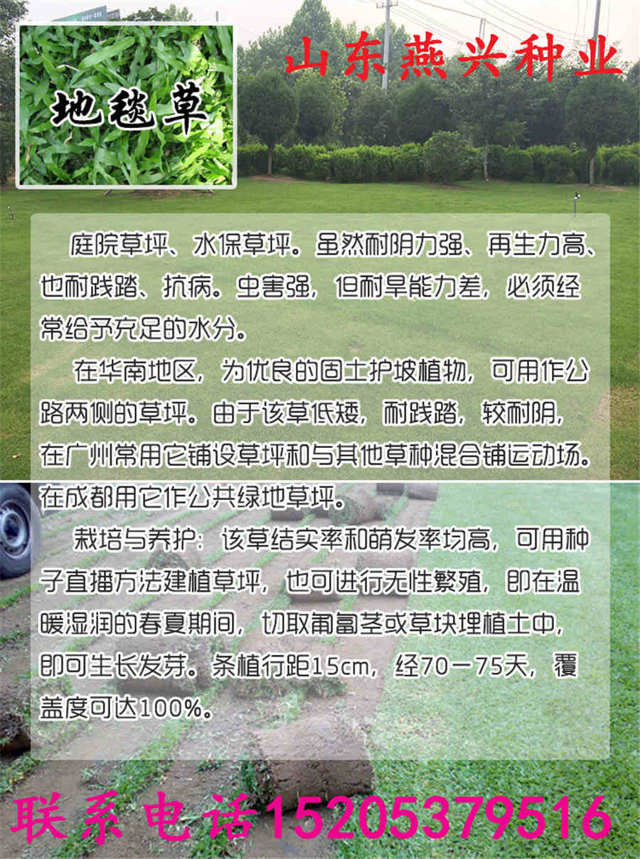 к̻ӶǮһ