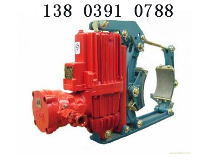 տõķYWZ5-300/50Һѹƶ۸