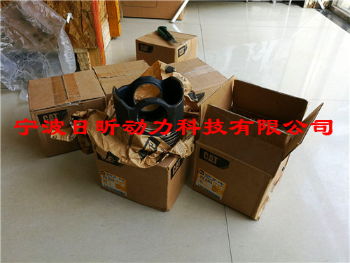 ǸP551553ɭ