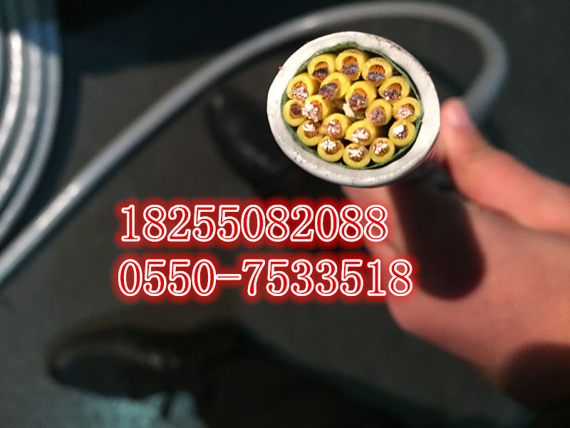 CHJPJP80  CHJPFP90 CHJPJP90õ¡쿵š