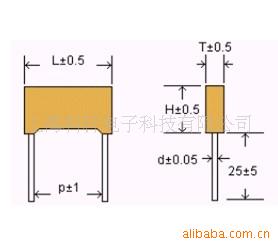 CBB23ٻֱĤ(D)