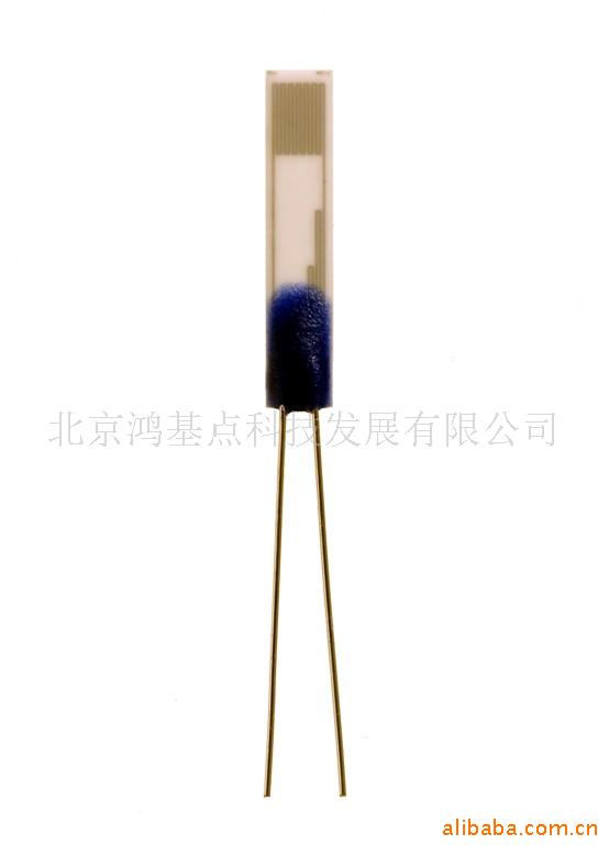 HeraeusM1020Pt100