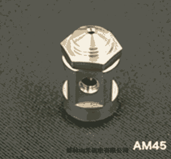 ձatomaxⲿϜuʽwAM25   AM45