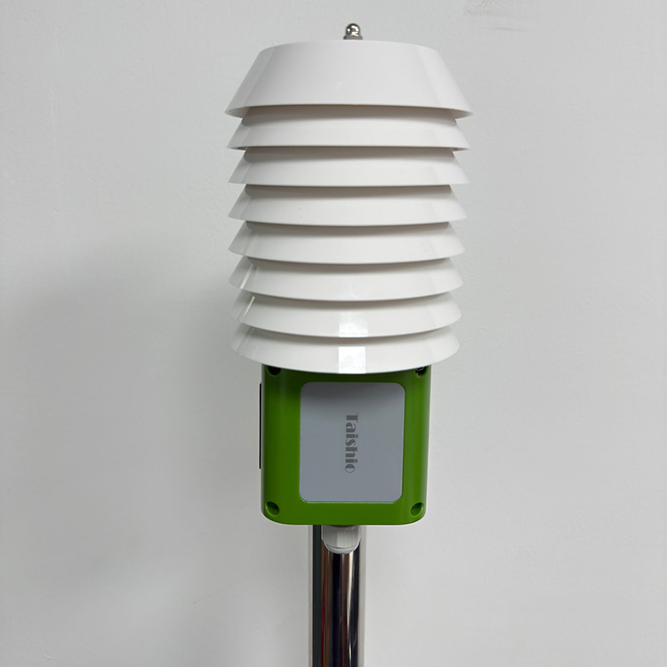 Taishio؝׃TS307