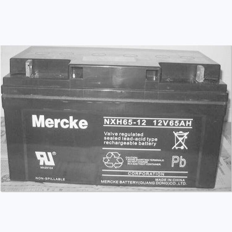 MERCKENXH120-1212V120AH