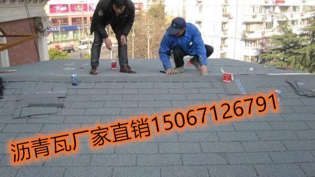 BT˼^(q)w߇(bio)