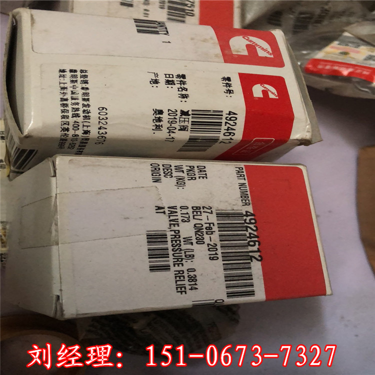 QSK19йy4924612 Ʒ Mڿ˹ԭb