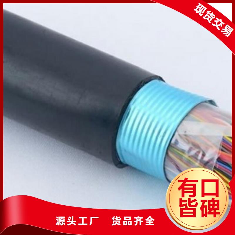 ZR-DJYP2V22-zb̖|1X3X2.5