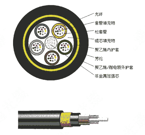 ADSS-8B1-100PErADSS|S҈r