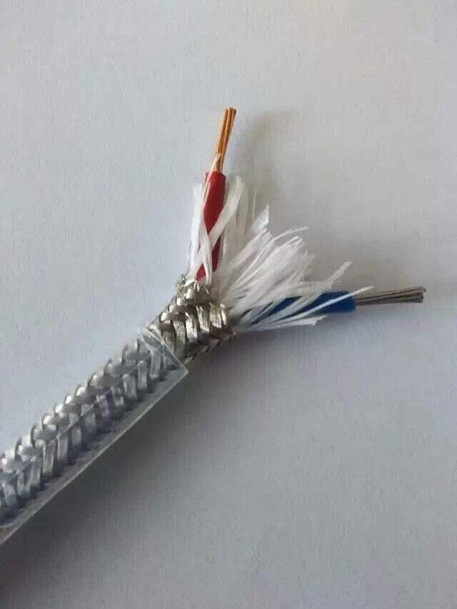EX-HA-HF4RPa|̖a|ԃr