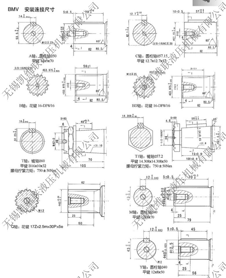 h,BMR-250,ҺR_(d),u(y)C|