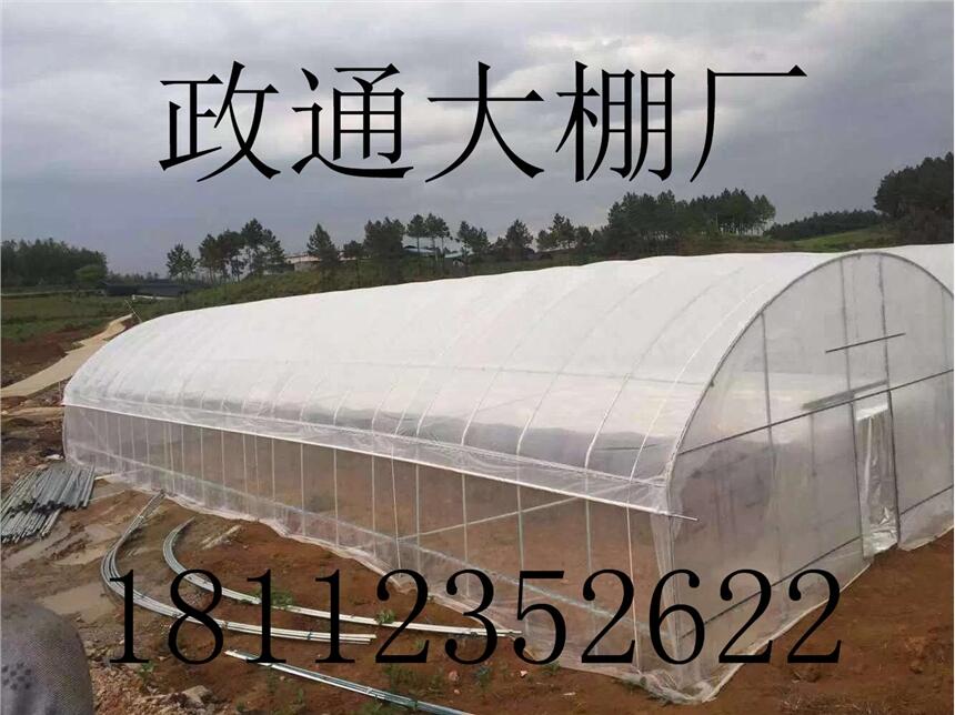 ﳧ?