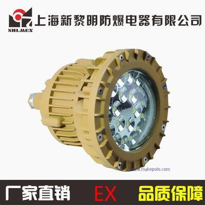 LEDBZD210-20~100WLED