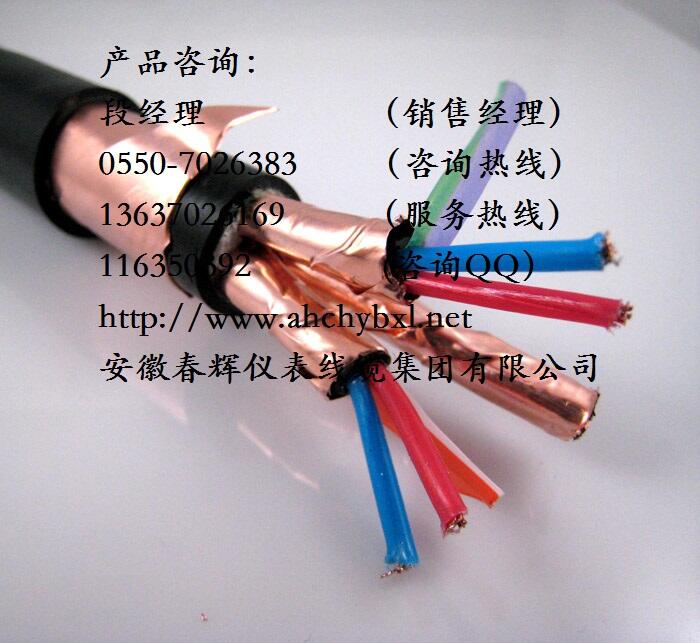 RS485| ZRC-DJYP2VP2-22-2*2*1.0ͨ|/x