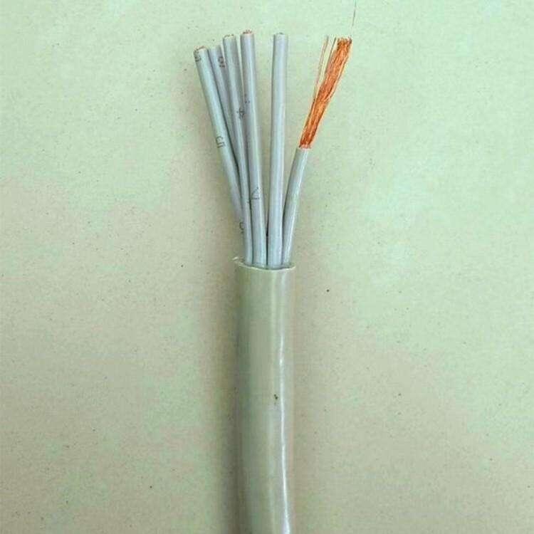 ҿڳpgUTP-Č