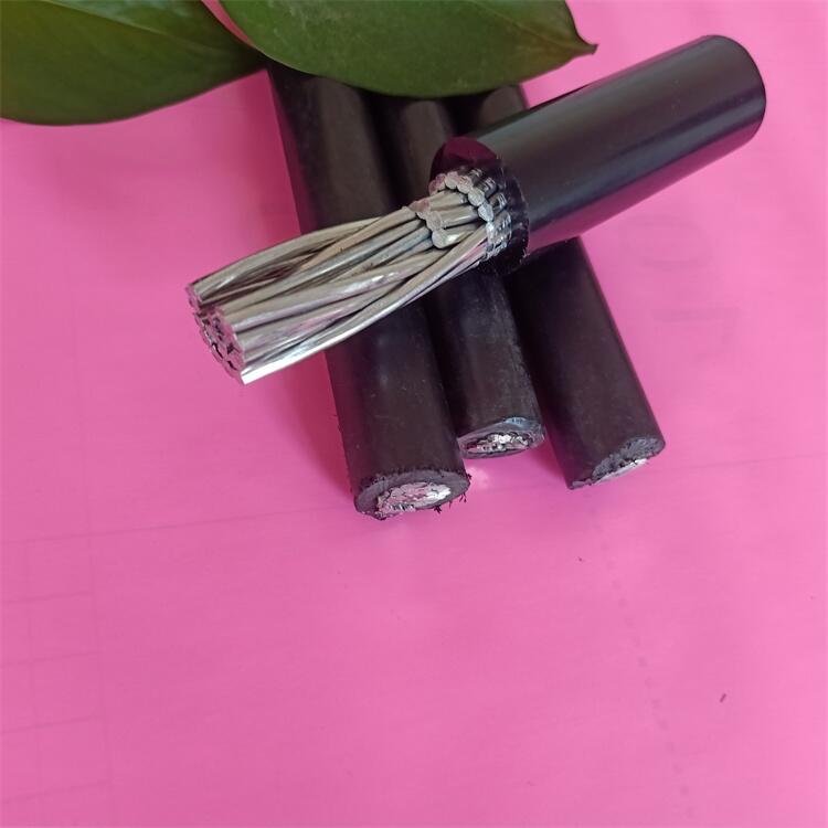 JKLGY-35KV-95/15^ܿվ̓rl