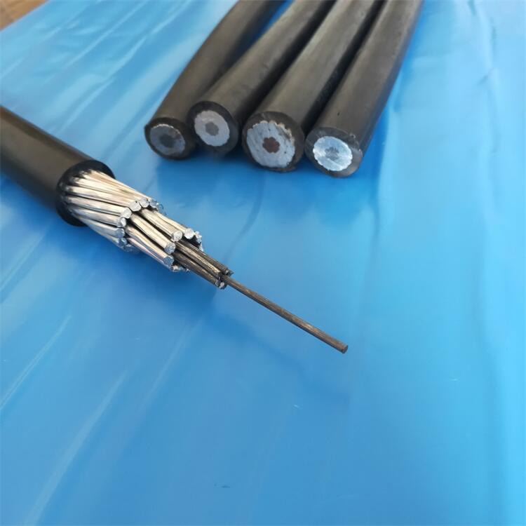 JKLYJ-10KV-70/10^ܿՌ