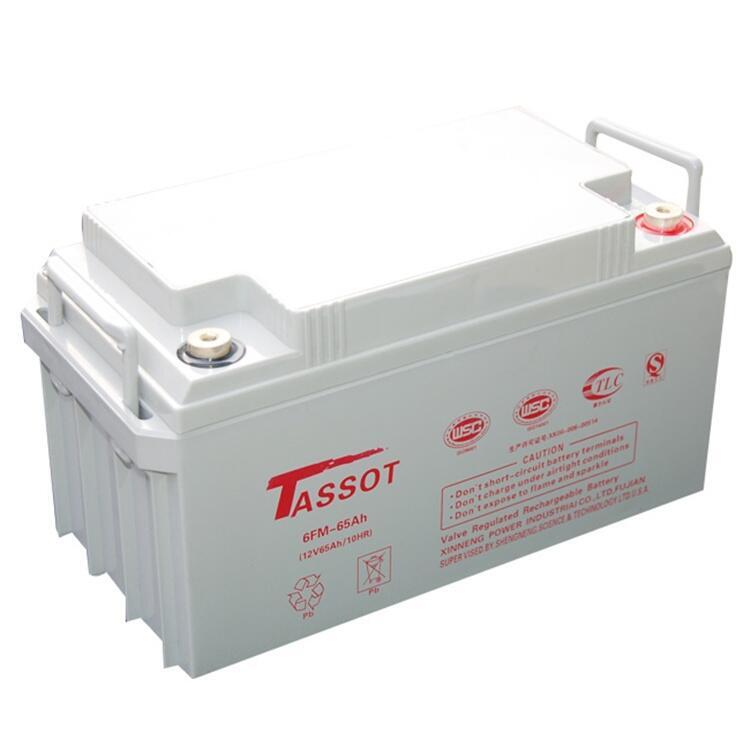 TASSOT̩˹6GFM-65AHǦ12V65AH