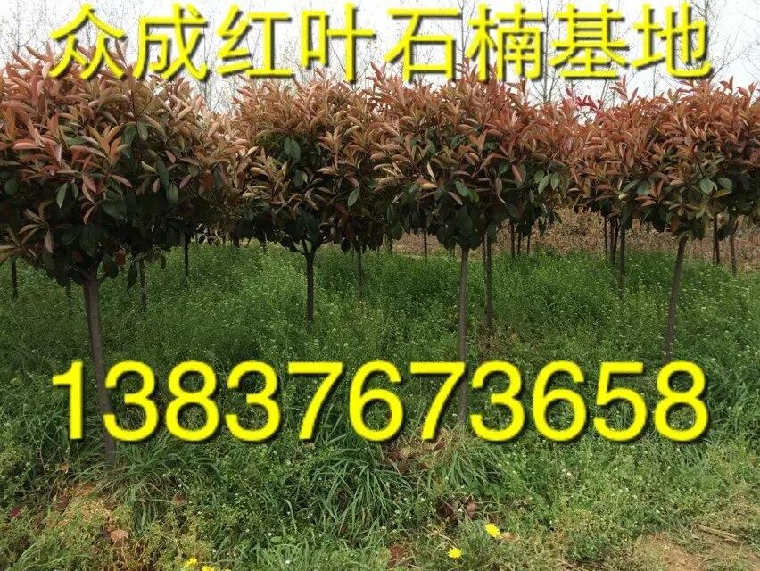 ]:ӱ3ּt~\ŽI