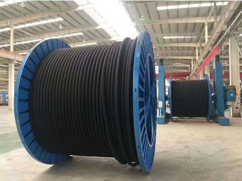 HSGWP22úC2*5L