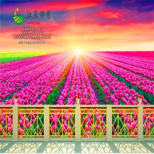 ϳлʩҎ(gu)OӋ