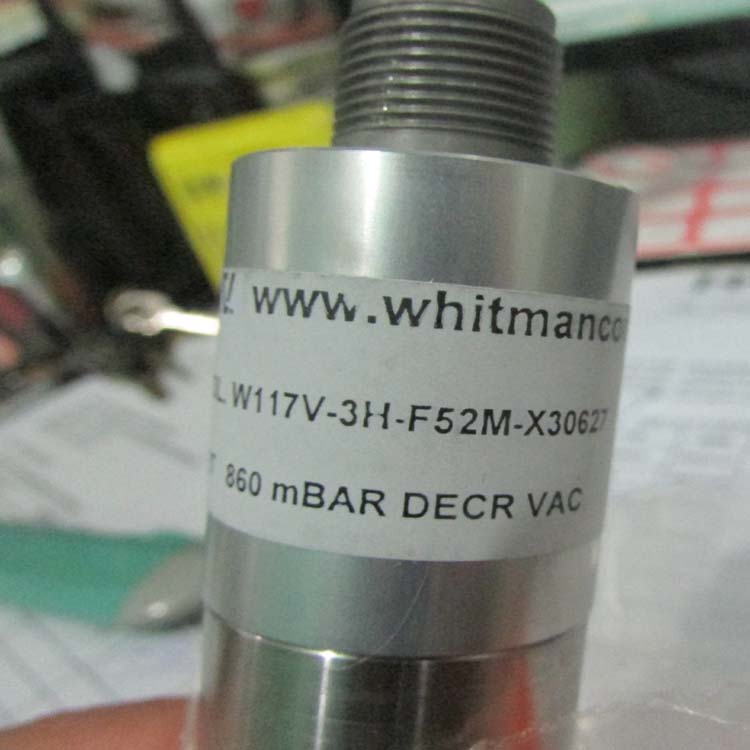 WHITMANտW117G-5H-C11LTS