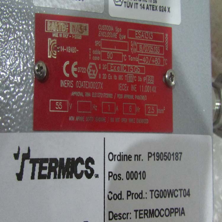 TermicsżTermicsTS-RTD-R01