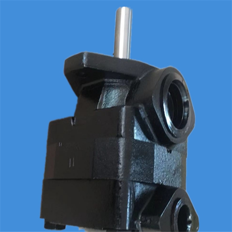 DENISON~ƬT6CCM-B08-B03-5R03-D100