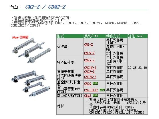 CM2B25R-300Z-XC6ٱ