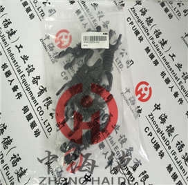 A10VO45DFLR/31R-PSC12N00-456