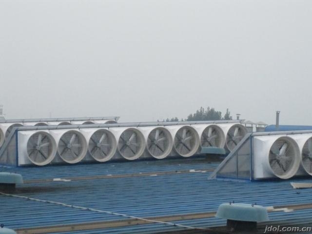ͨ罵豸